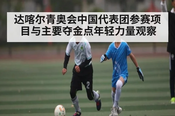 达喀尔青奥会中国代表团参赛项目与主要夺金点年轻力量观察